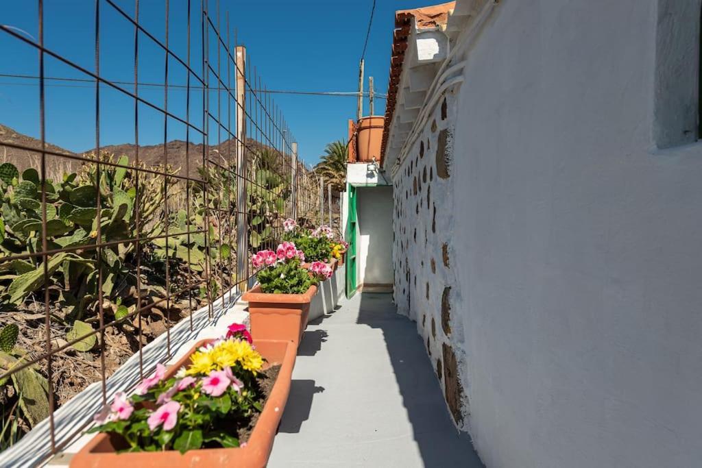 Ca' Pepita Y Jose Holiday home El Albercon