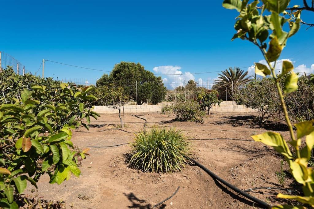 Ca' Pepita Y Jose Holiday home