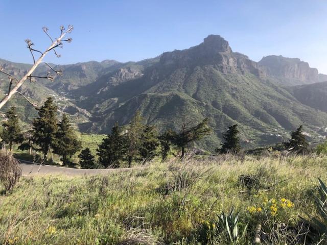 Сasa de vacaciones Tejeda Parque Rural El Nublo