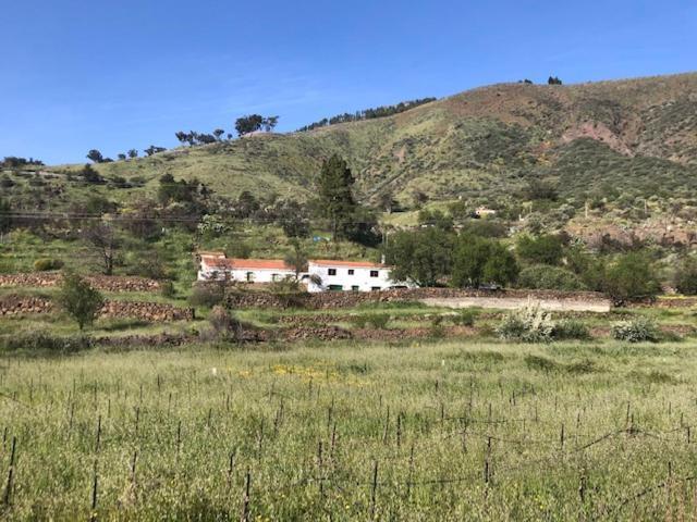 Casa-finca El Maipez De Tejeda Holiday home *