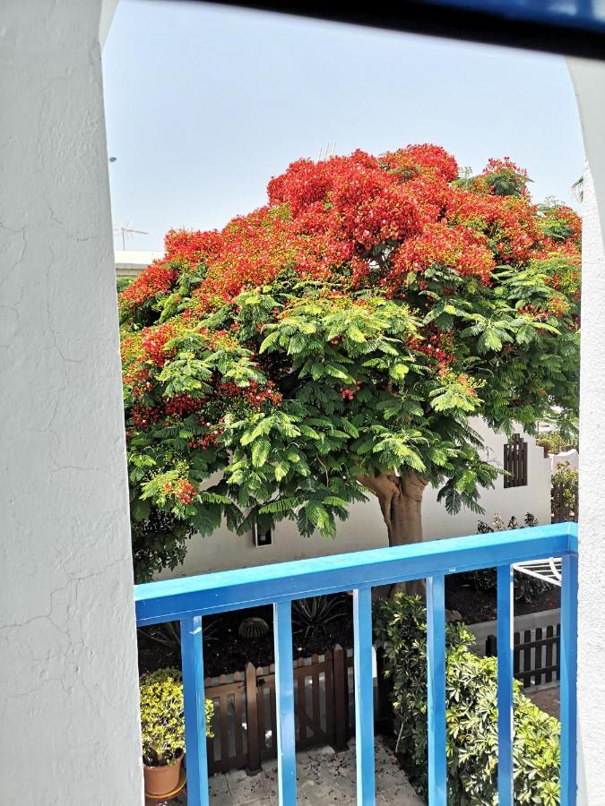 Сasa de vacaciones Maspalomas Casa La Loba
