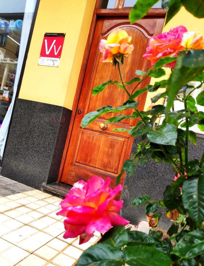 La Orquídea Vega de San Mateo
