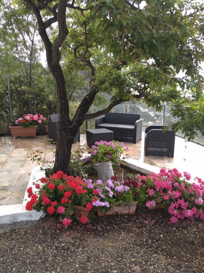 Holiday home La Yedra San Mateo Arbejales