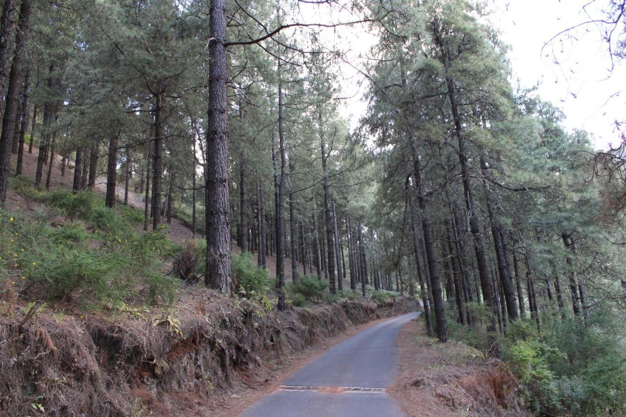Finca El Cole