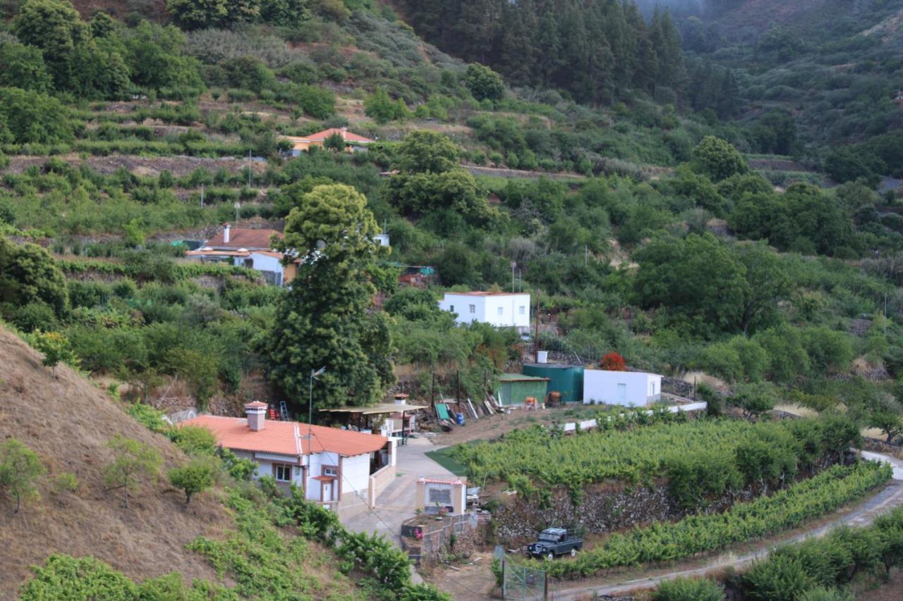 Villa Finca El Cole *