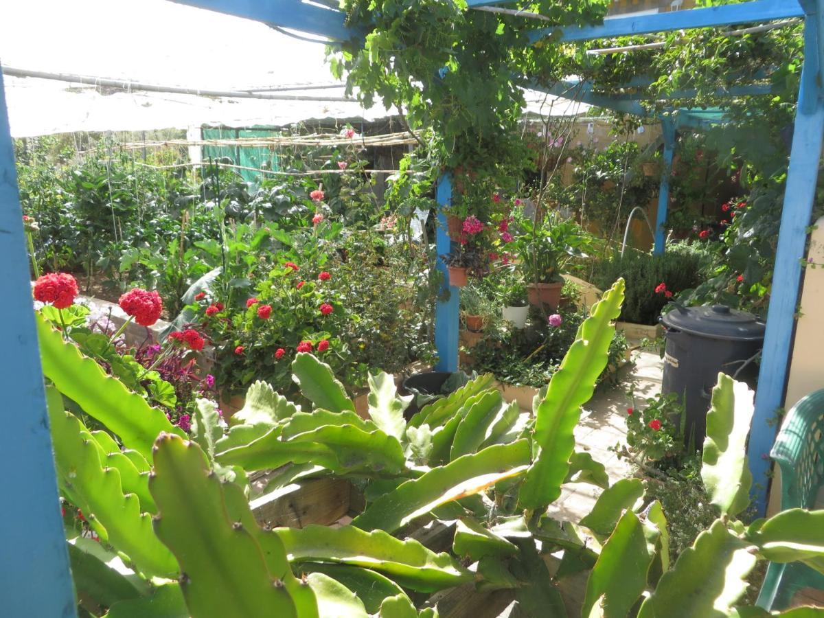 Gartenapartment Cortez Appartamento *