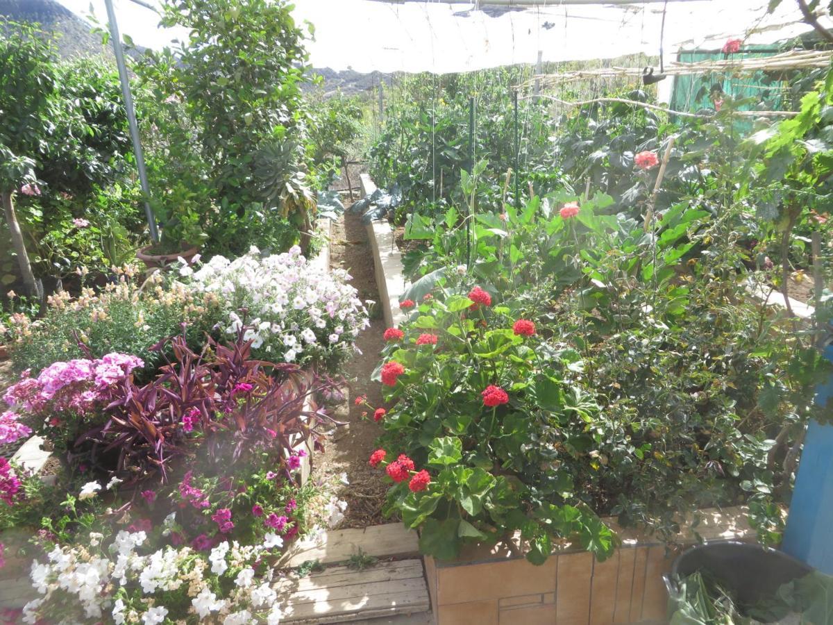 Appartamento Gartenapartment Cortez