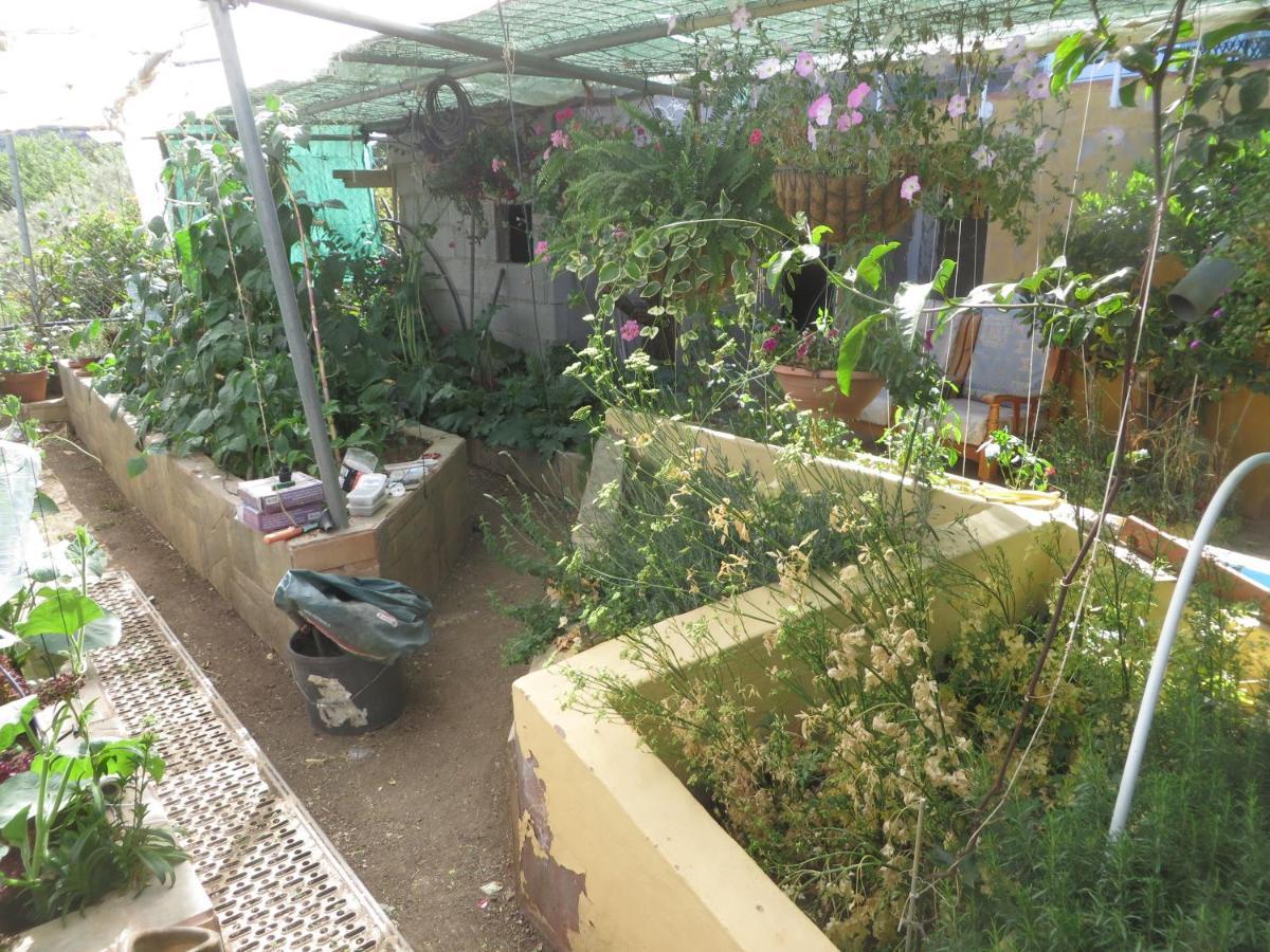 Appartamento Gartenapartment Cortez San Bartolomé