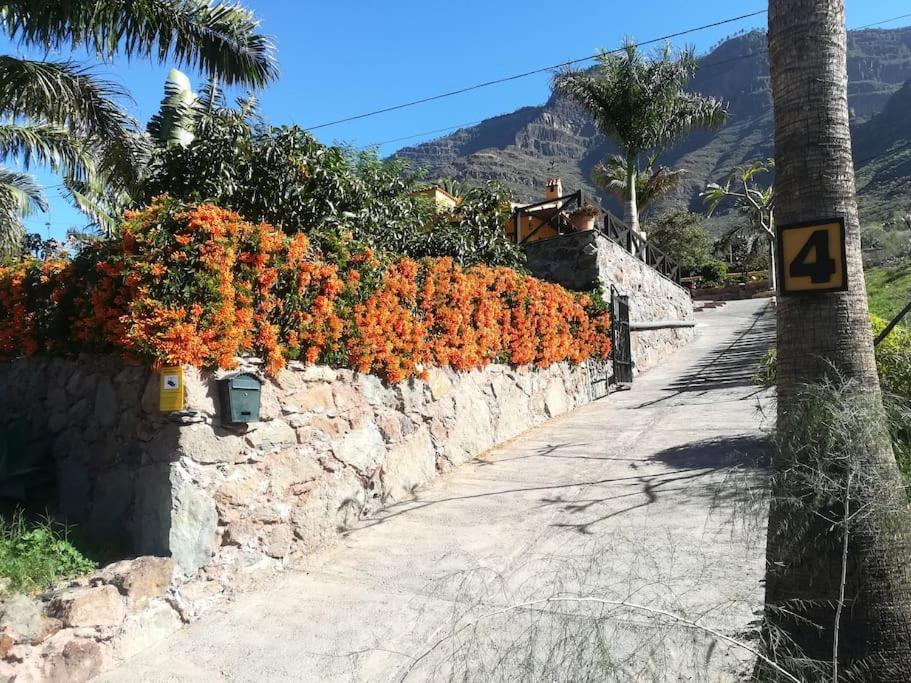 Apartment Los Bebederos