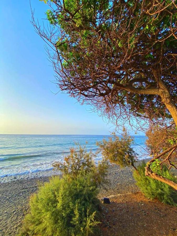Сasa de vacaciones Sunsea