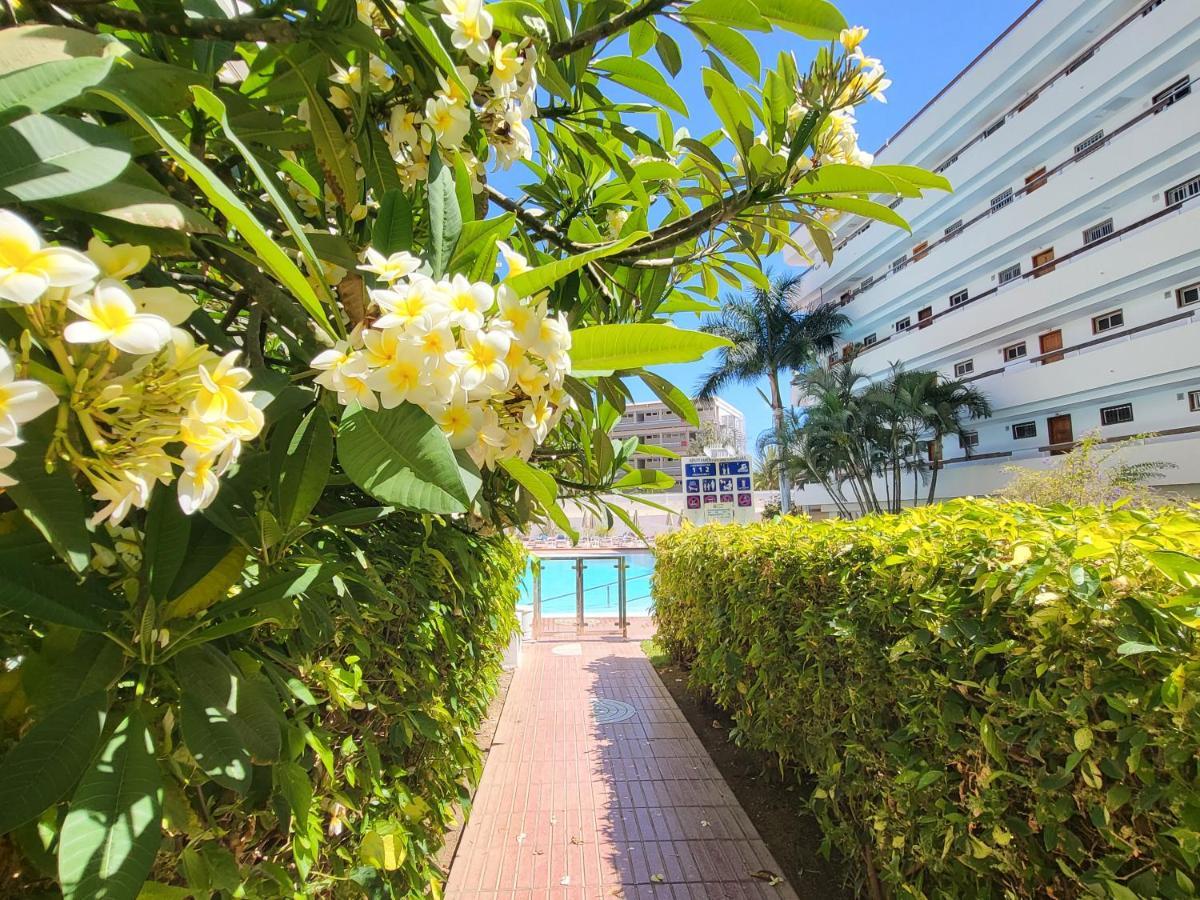 Rt-las Camelias Playa del Inglés