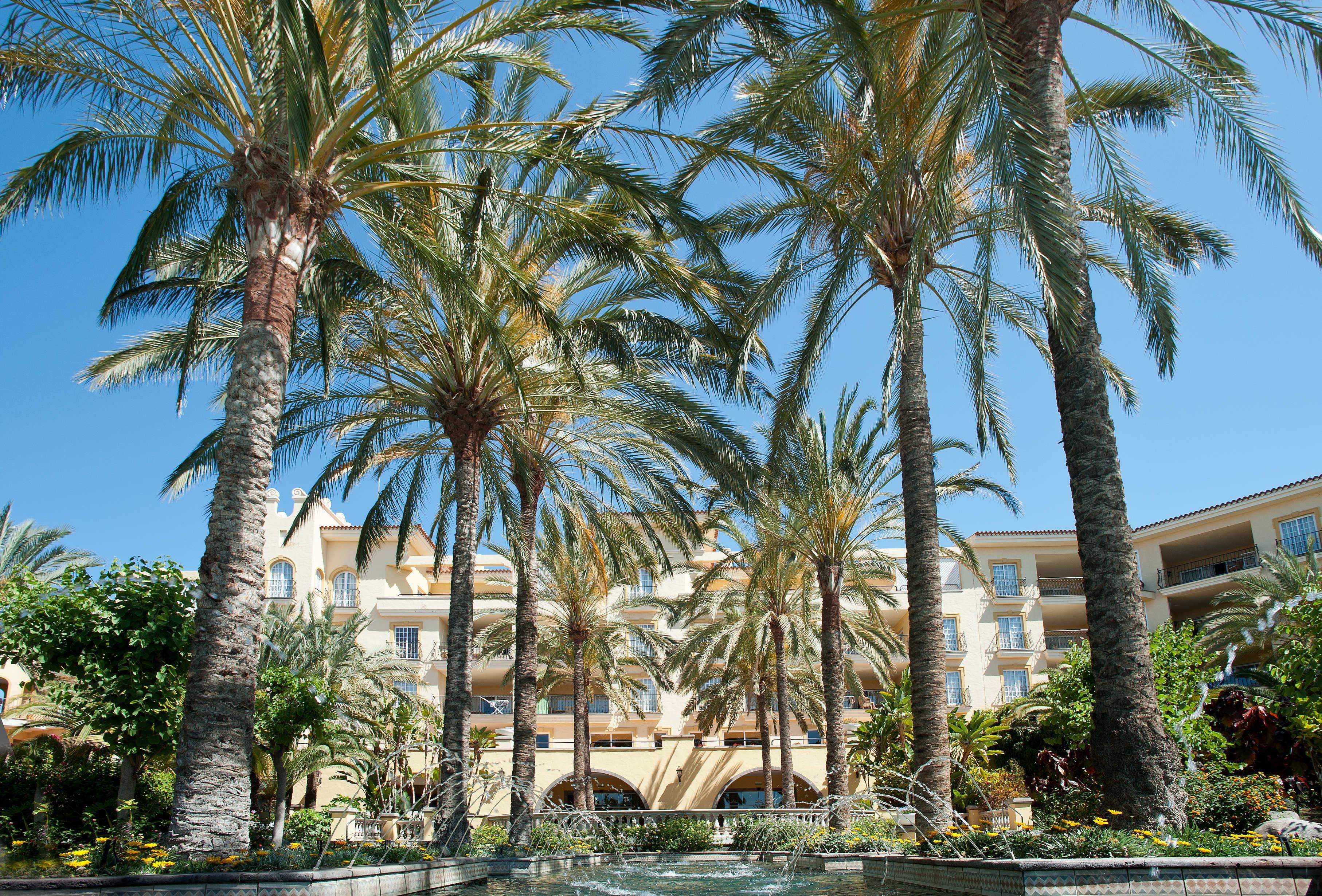 Hotel Palm Oasis