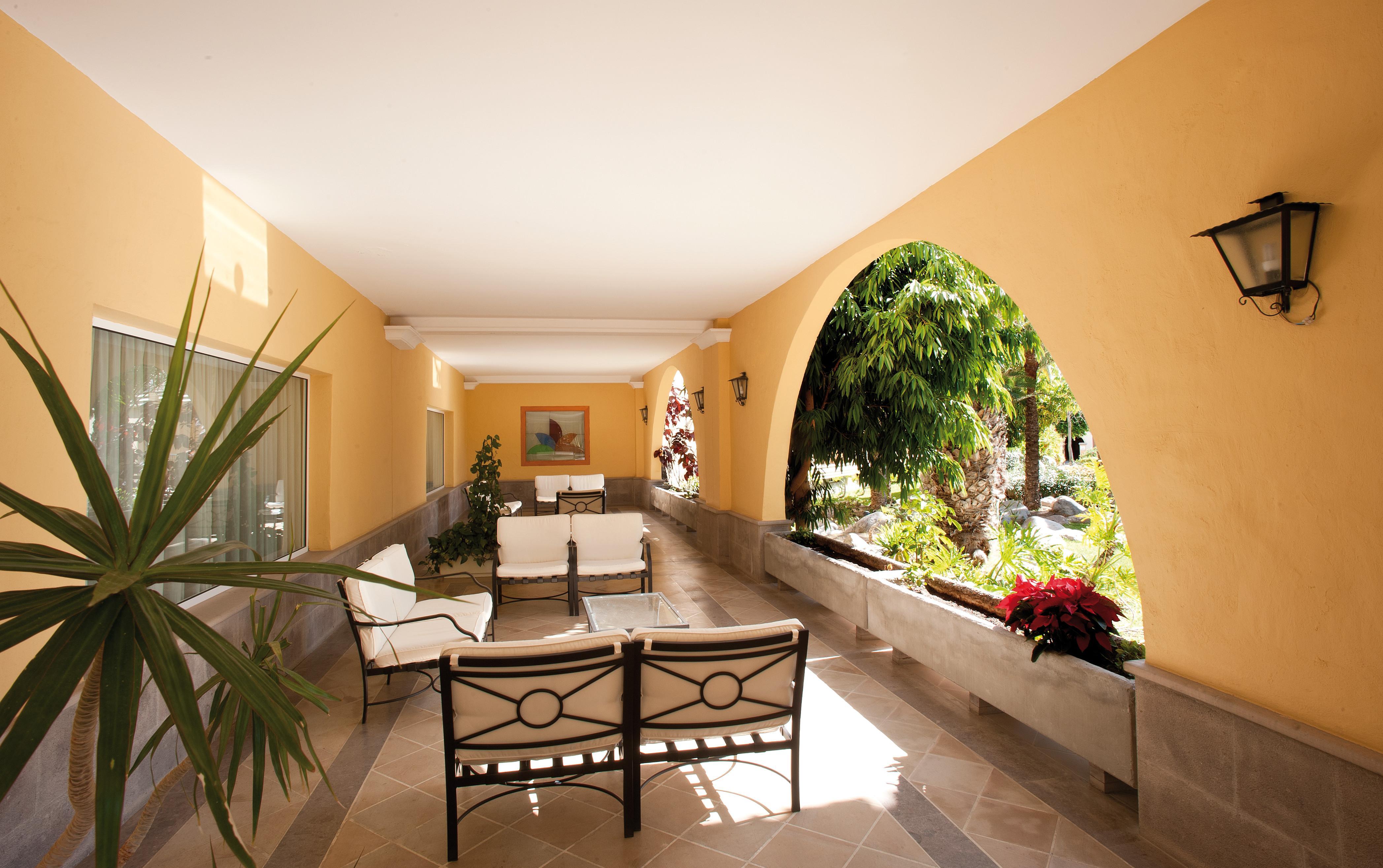 Palm Oasis Hotel 3*