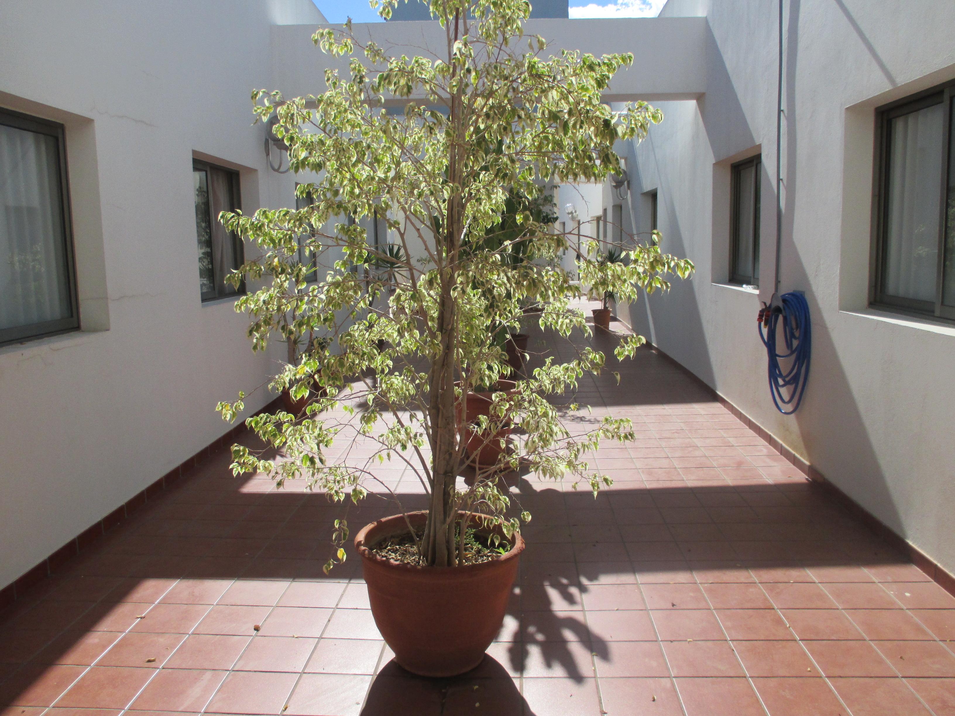 Hotel Avenida De Canarias Vecindario (Gran Canaria)
