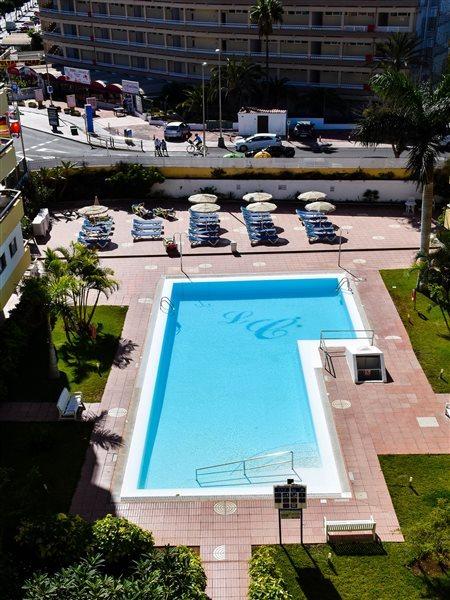 Camelias Apartamento *