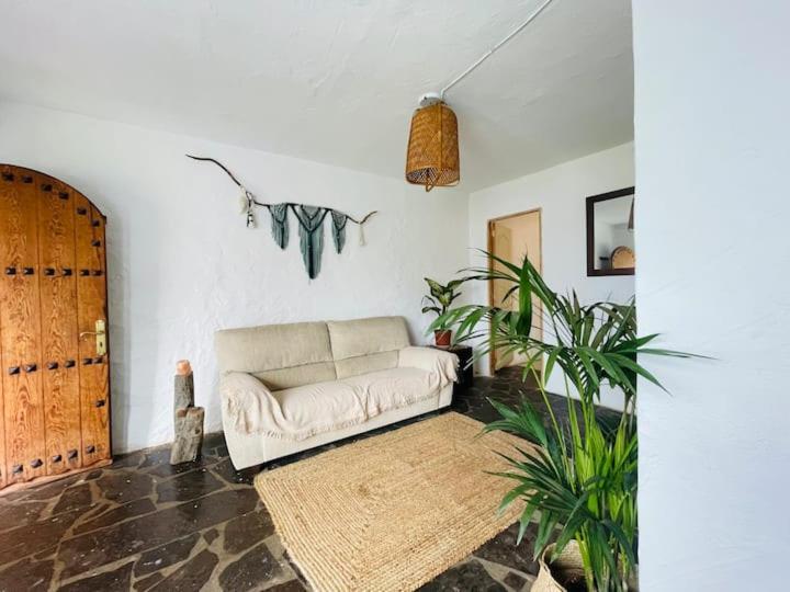 Oaxaca - Casa Tortuga * Agaete (Gran Canaria)