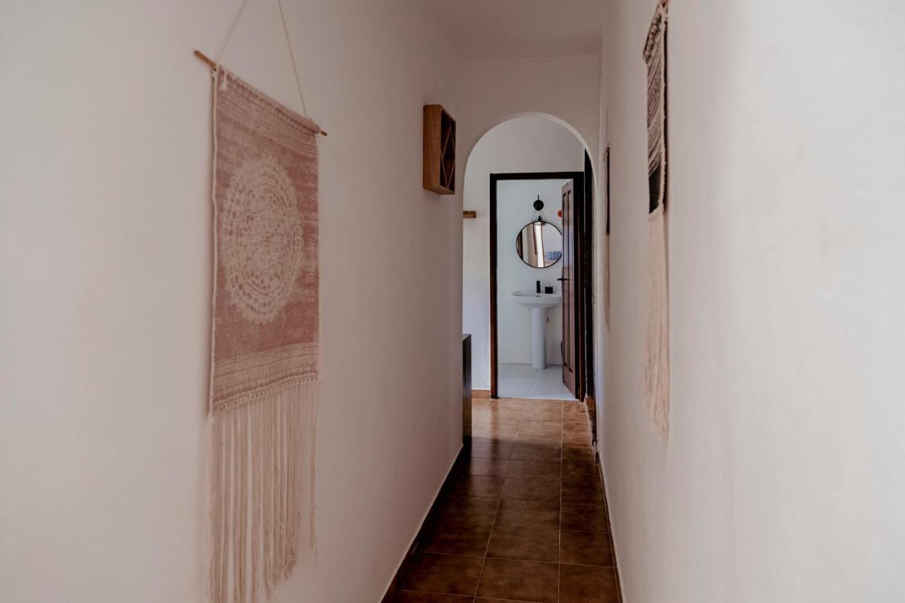 Lirios Santa Brígida
