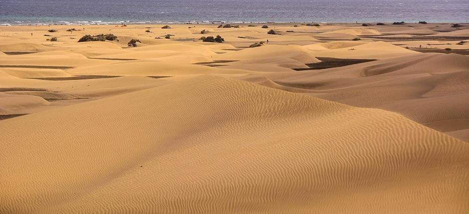 Relax Bungalow With Parking * Maspalomas (Gran Canaria)