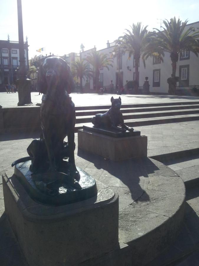 Apartamento Jurel Vivienda Estudio Las Palmas de Gran Canaria