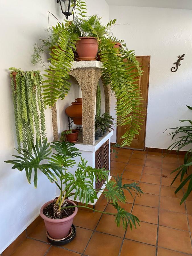 Casa En Mogan Las Burrillas