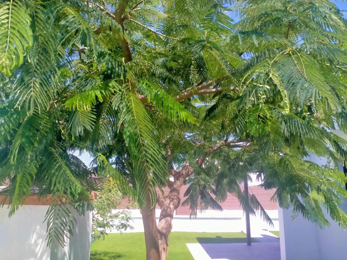 Colorado With Garden #4 Apartamento