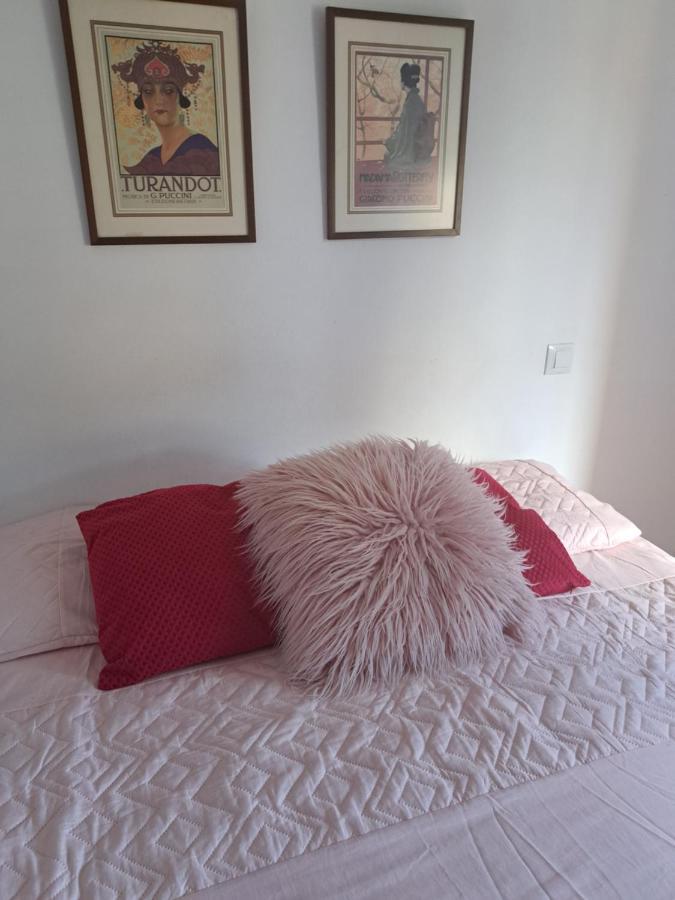 Bed & Breakfast Tranquila *