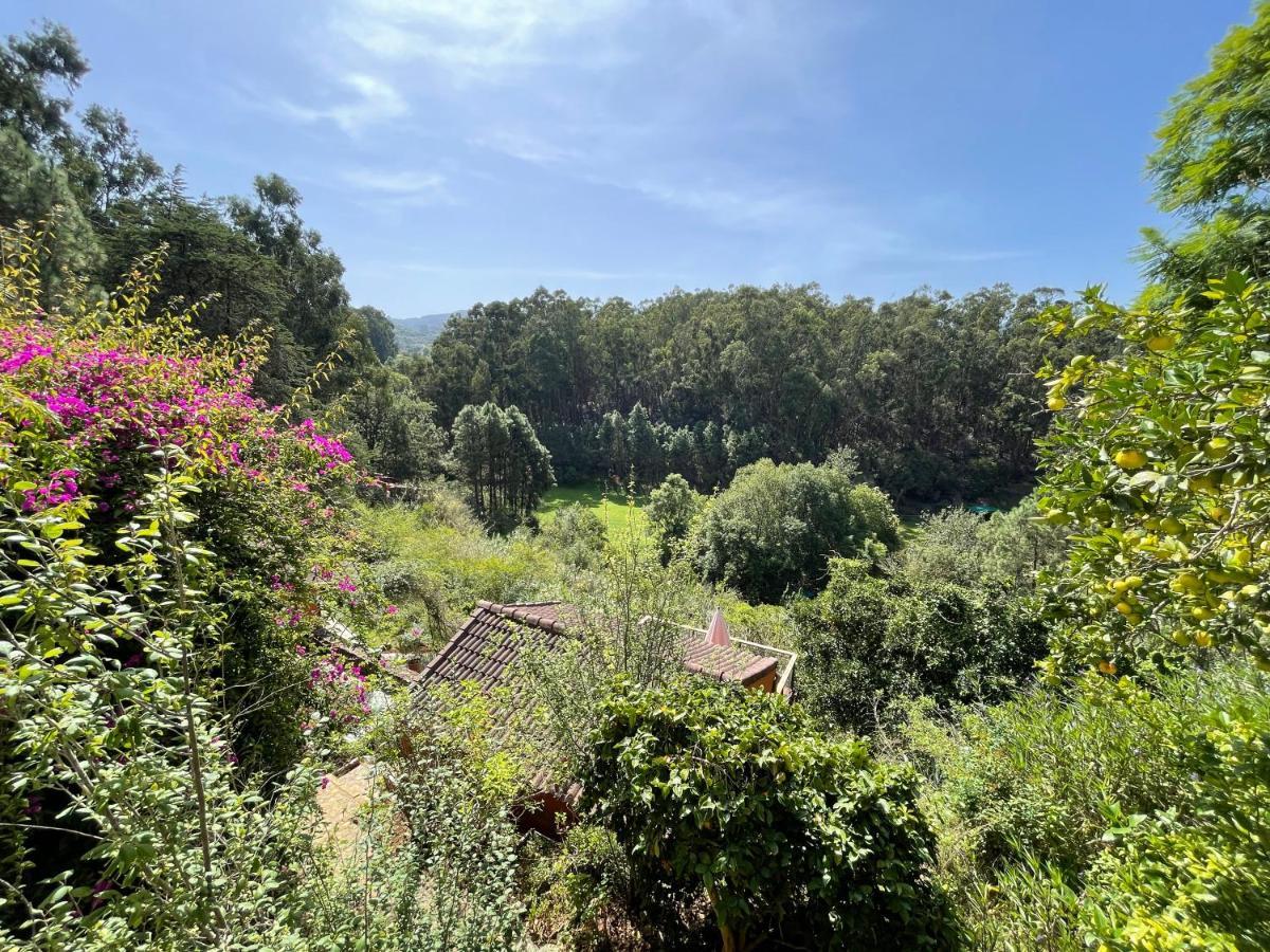 Duplex De Invitados En Medio Del Bosque Holiday home *