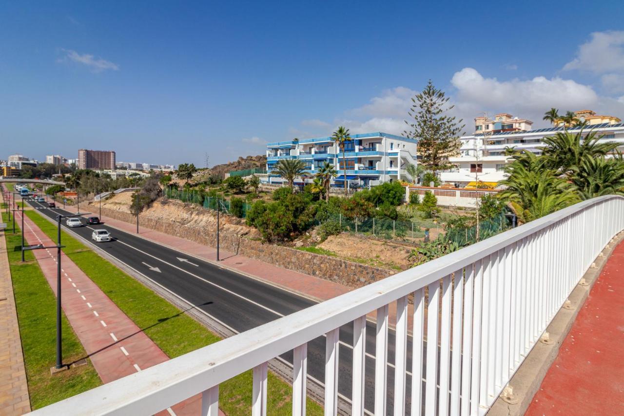 Margaritas25 * San Bartolome de Tirajana (Gran Canaria)