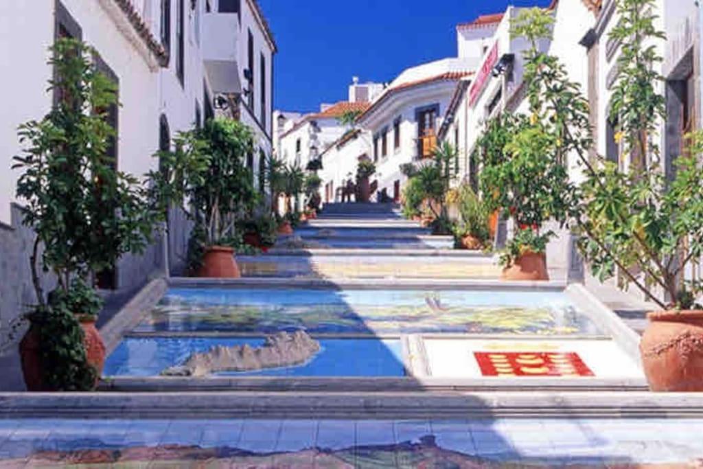 Luminoso Y Acogedor