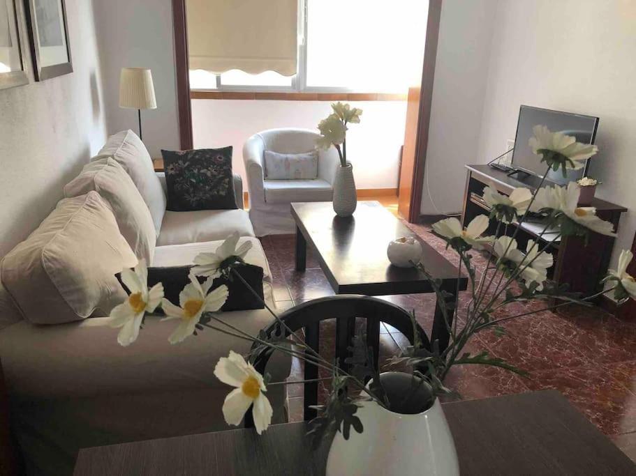 Apartamento Luminoso Y Acogedor