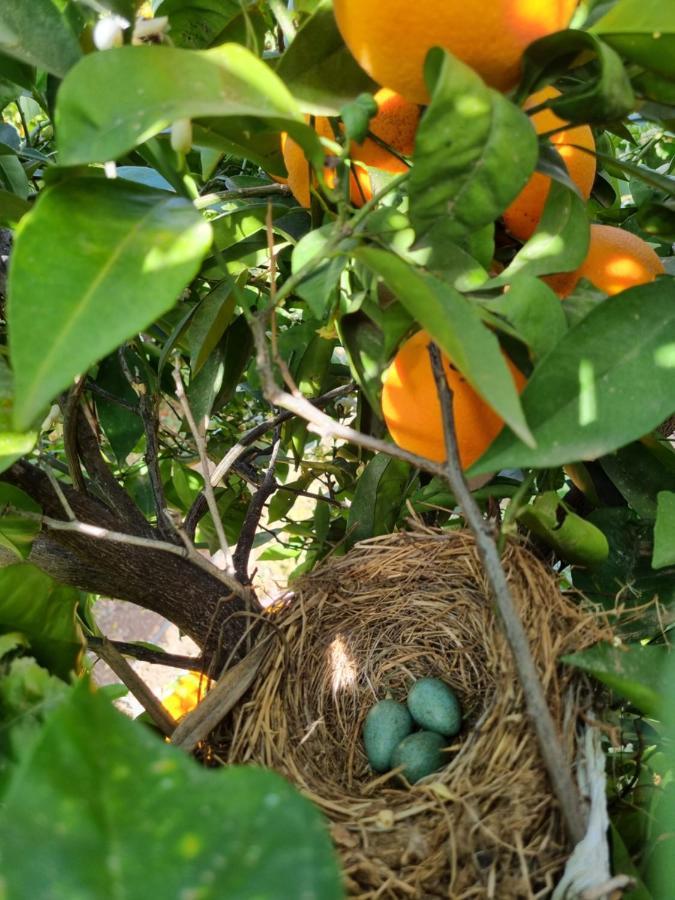 Farm stay El Vergel