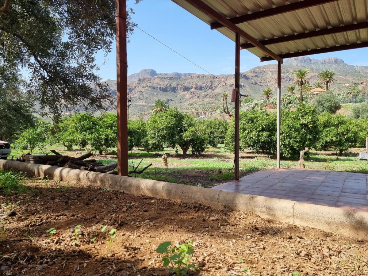 Alloggio per agriturismo El Vergel Santa Lucía