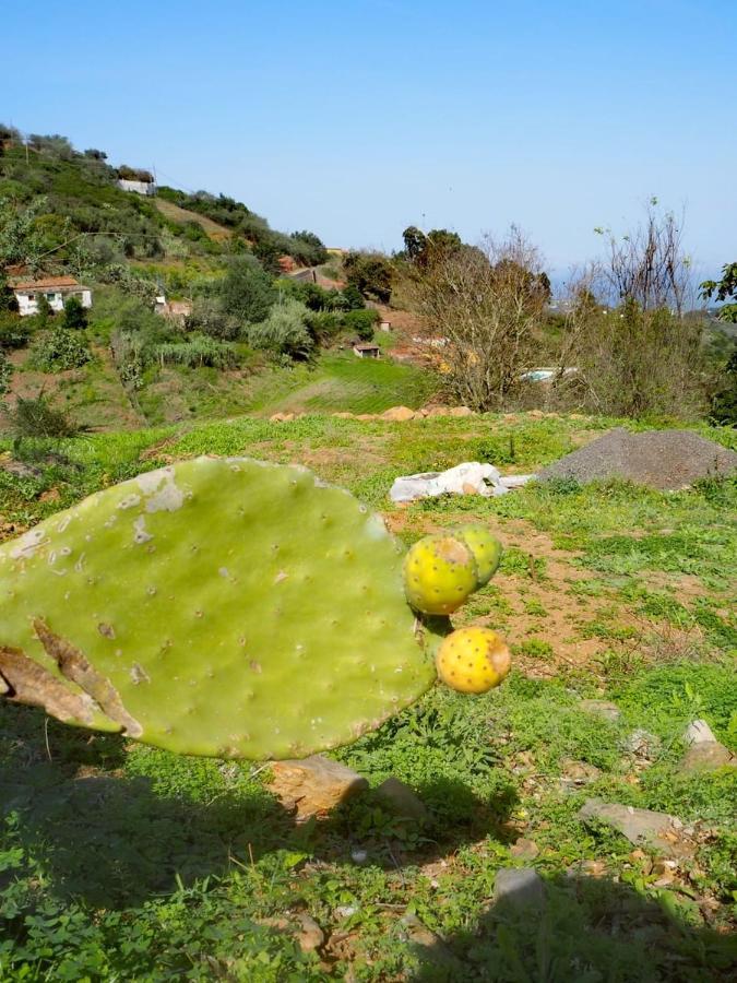 Casa Juana Holiday home