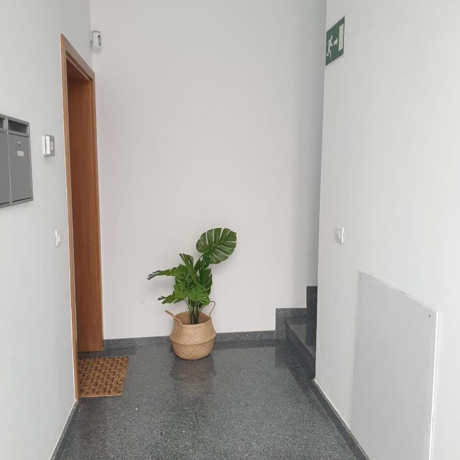 Apartamento City Las Palmas de Gran Canaria