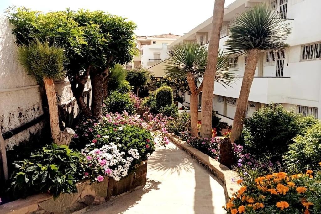 With Large Terrace, 10 Meters From Playa De Burras