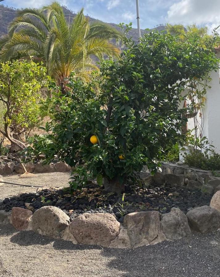 Casa Colonia Appartamento Mogán