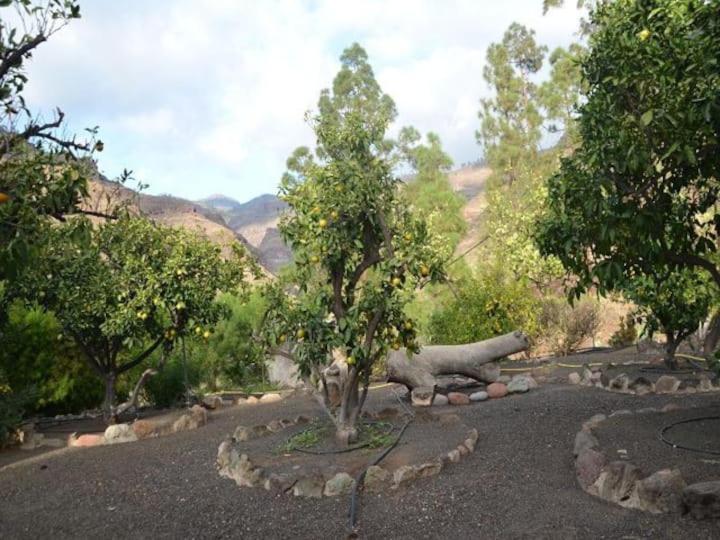 Appartamento Casa Colonia