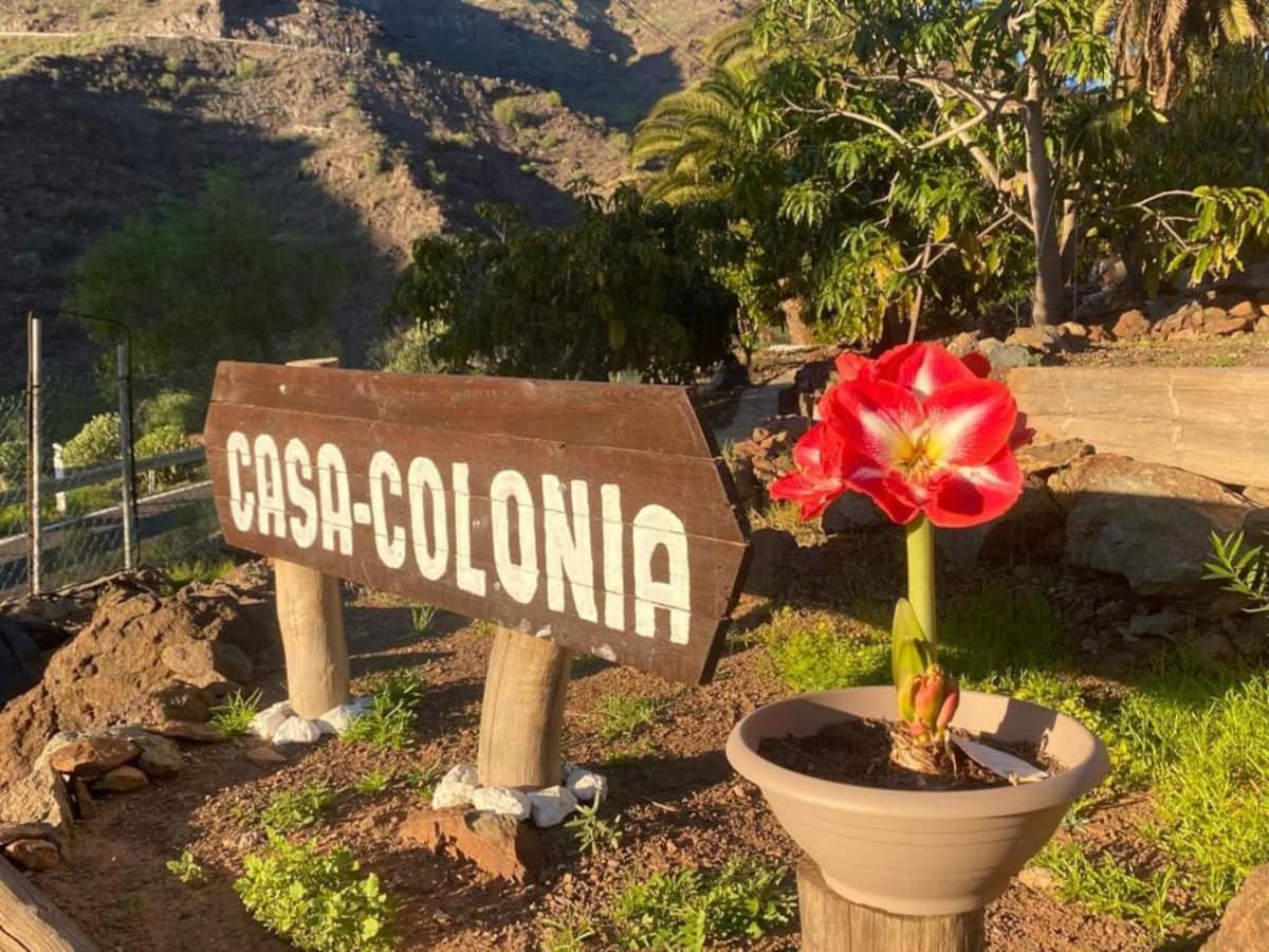 Casa Colonia *