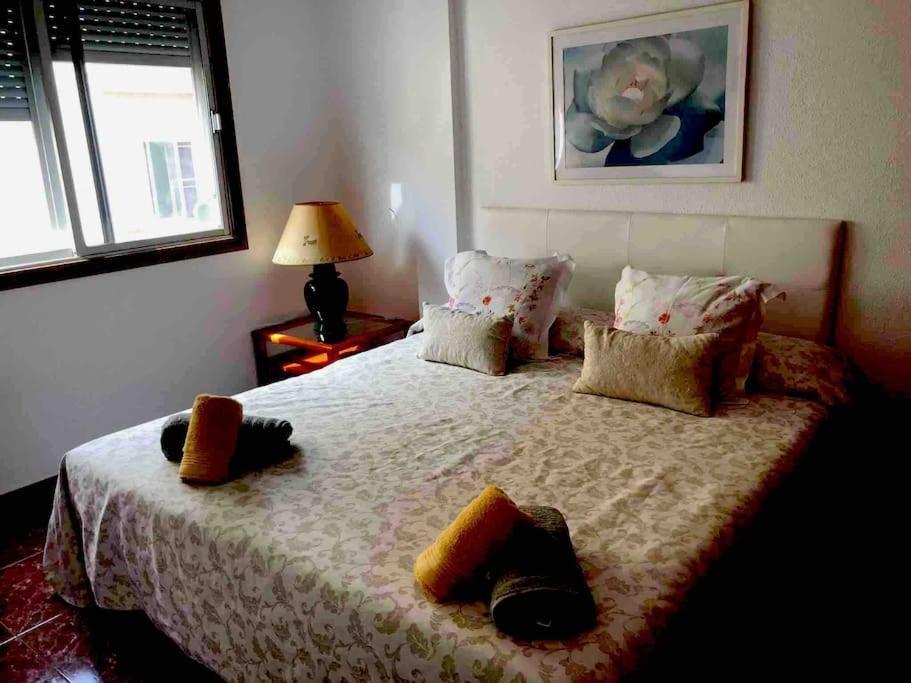 Apartamento Luminoso Y Acogedor
