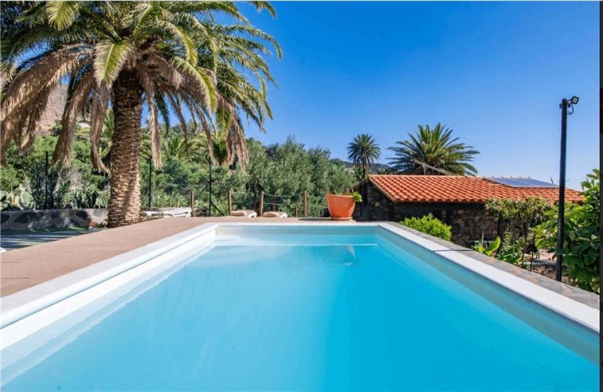 Palmeras Holiday home
