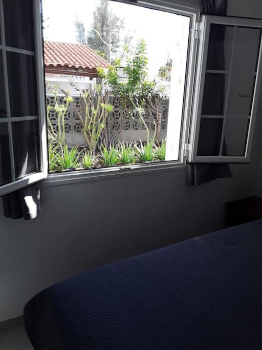Casa vacanze Tres Beau Bungalow,jardin Tropical, Renovation Ete 2020 Playa del Inglés