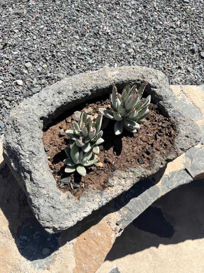 Con Bano Adaptado Y Piscina En Appartamento