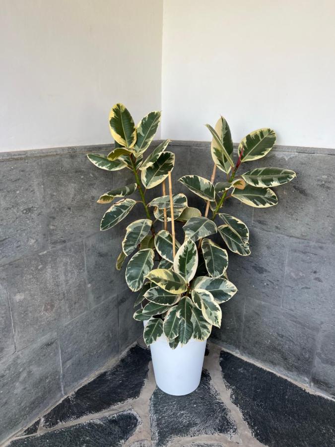 Appartamento Con Bano Adaptado Y Piscina En *