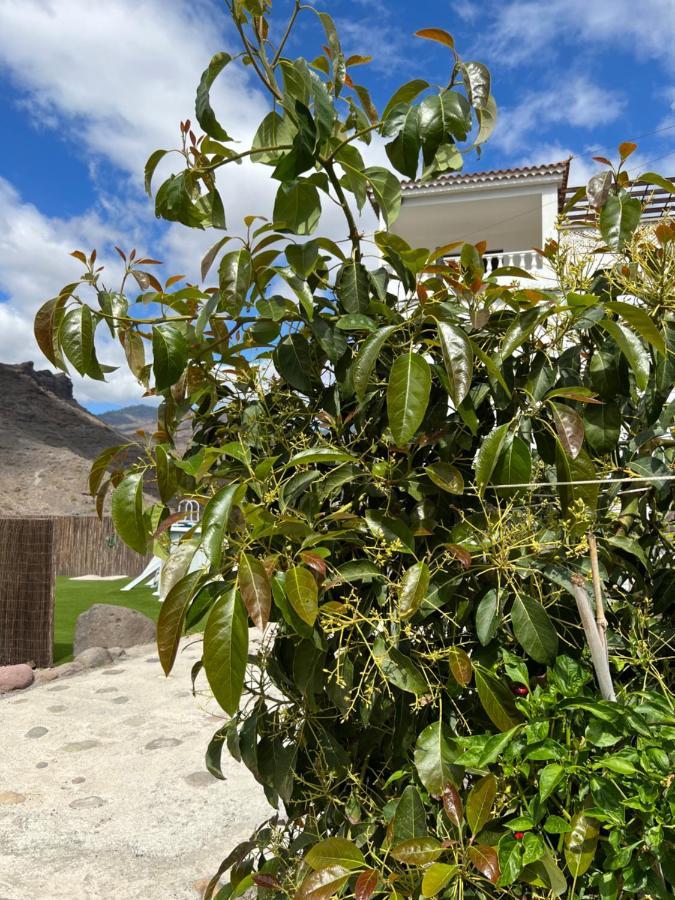 Con Bano Adaptado Y Piscina En * Mogán