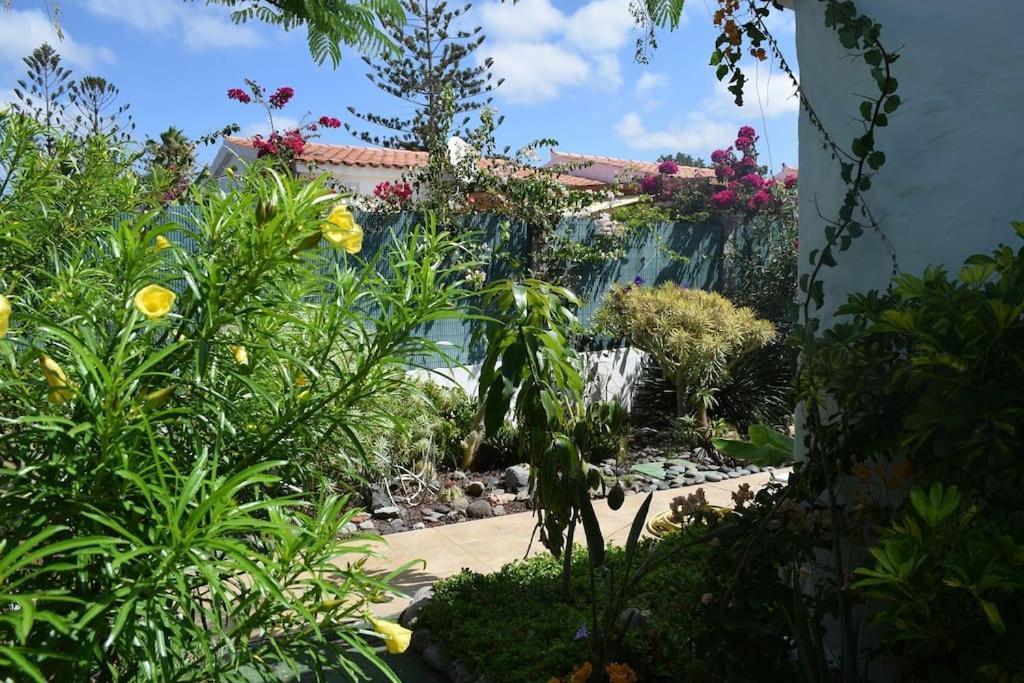 Casa vacanze Tres Beau Bungalow,jardin Tropical, Renovation Ete 2020