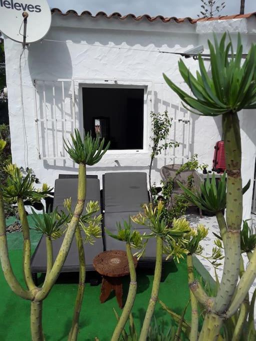 Tres Beau Bungalow,jardin Tropical, Renovation Ete 2020 Casa vacanze Playa del Inglés