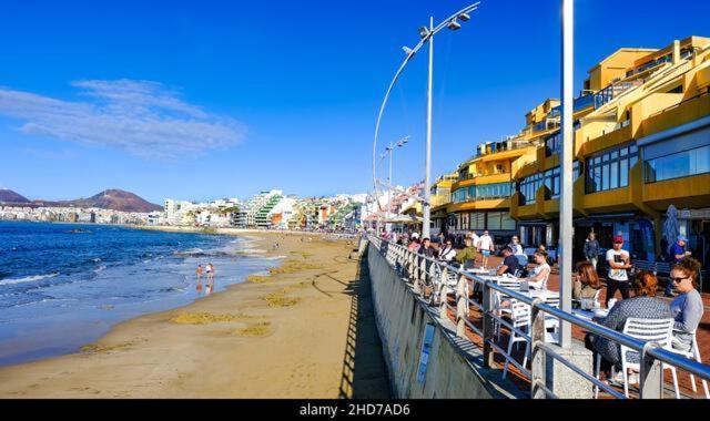 Bkd1 - Entero A 50 Metros Playa De Canteras