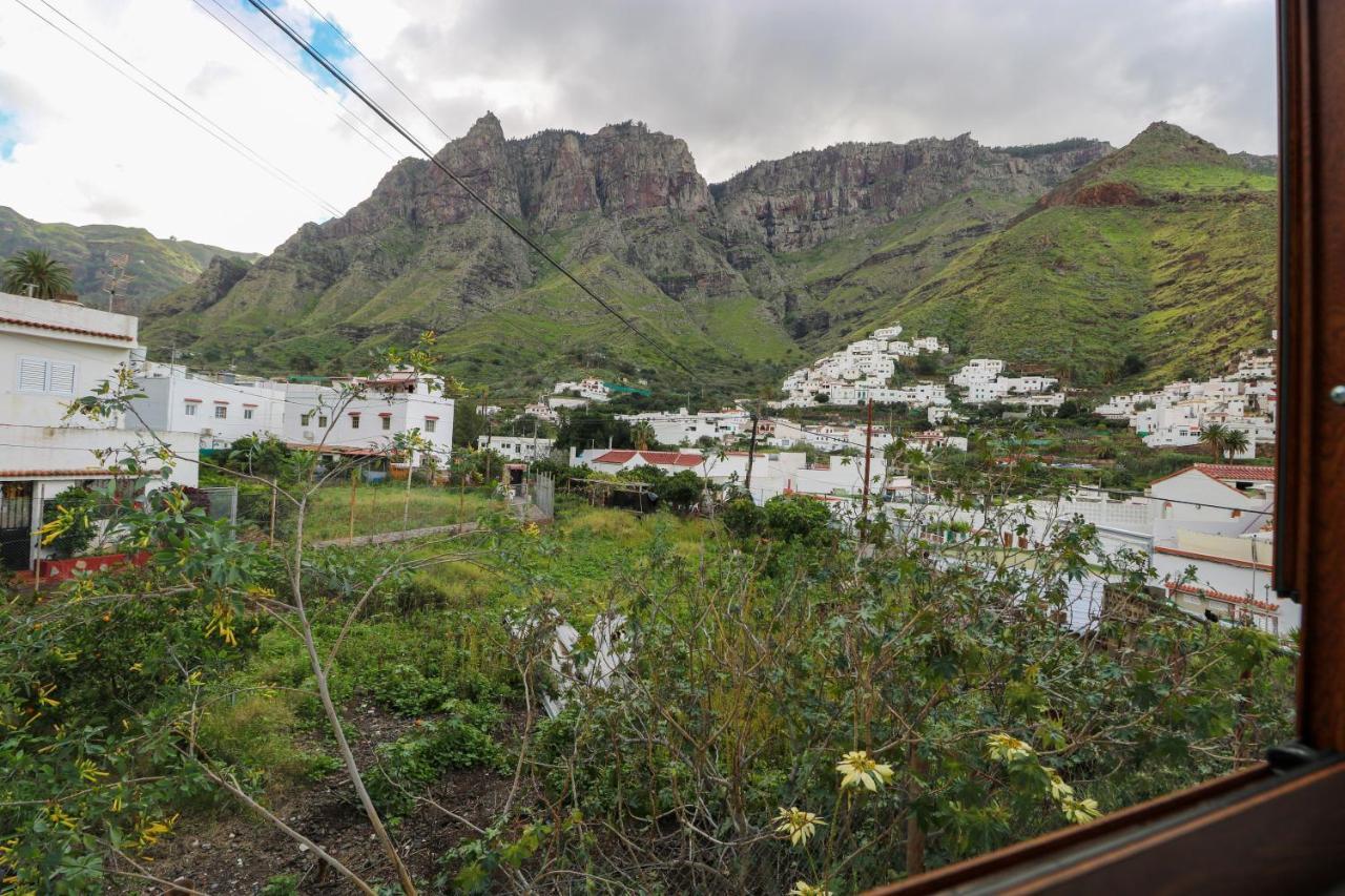 Valley Views In Agaete *
