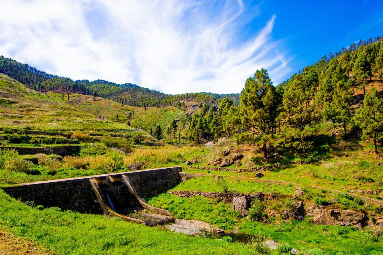 Valley Views In Agaete