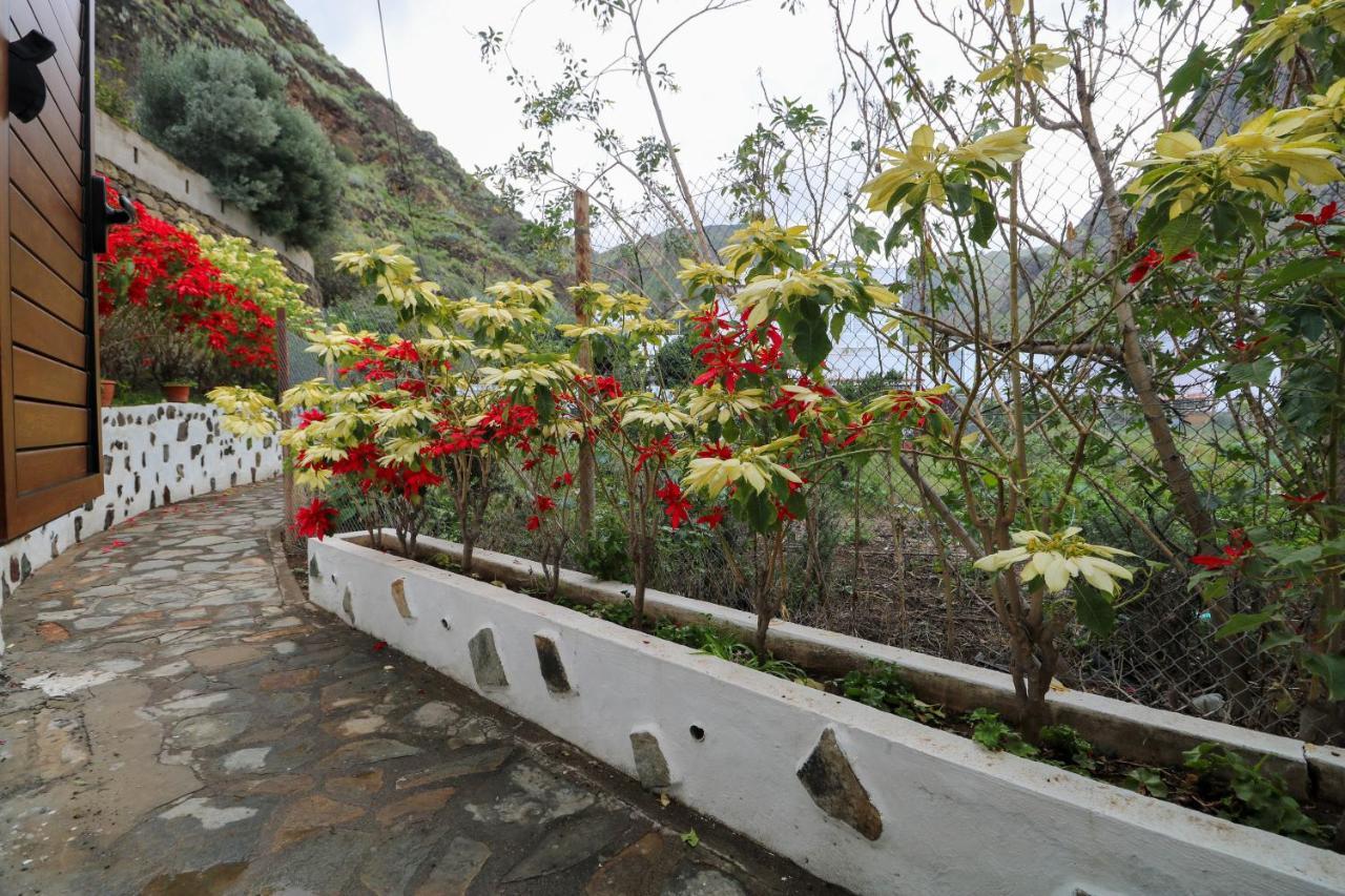 Valley Views In Agaete Agaete (Gran Canaria)